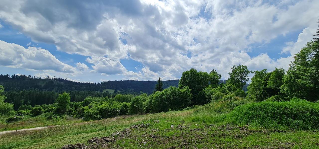 Apartmán u Lebedů Strázny Exterior foto